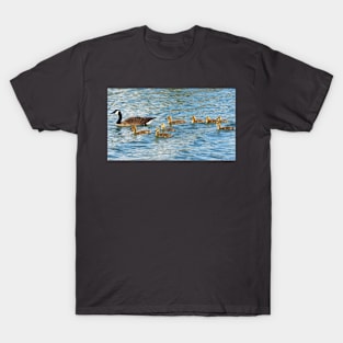 Canada Goose Family Going For a Swim T-Shirt